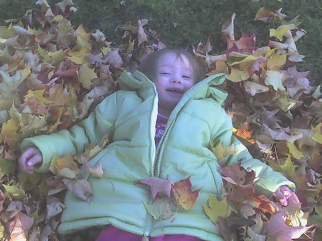 Fun in the leaves